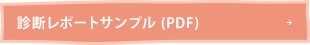 診断レポートサンプルPDF