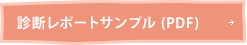診断レポートサンプルPDF