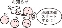 「排卵準備を開始してね」というお知らせの画像
