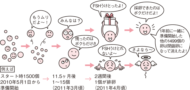 「閉鎖卵」の画像