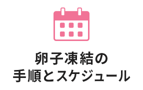 卵子凍結の手順とスケジュール