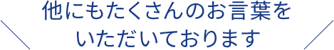 他にもたくさんのお言葉をいただいております
