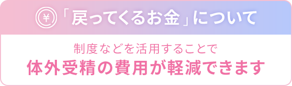 「戻ってくるお金」について 制度などを活用することで体外受精の費用が軽減できます