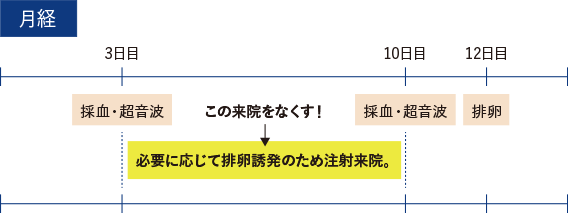 受精 から 着 床 まで 最短