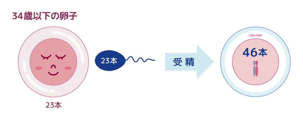 卵子凍結 未受精卵凍結 はらメディカルクリニック