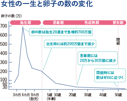 40 歳 妊娠 確率