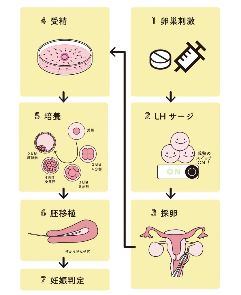 活動歴および当時の関連ビジュアル記録