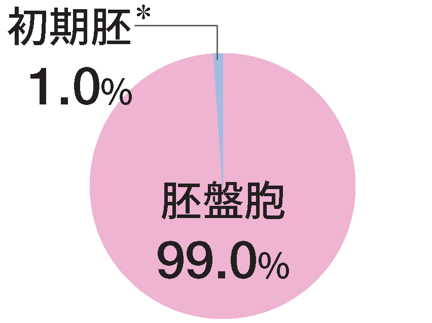 移植胚の分割状態