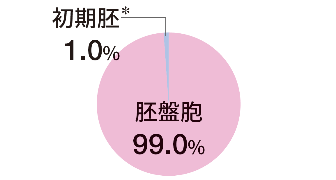 植胚の分割状態：胚盤胞99.0%、初期胚※1.0%
