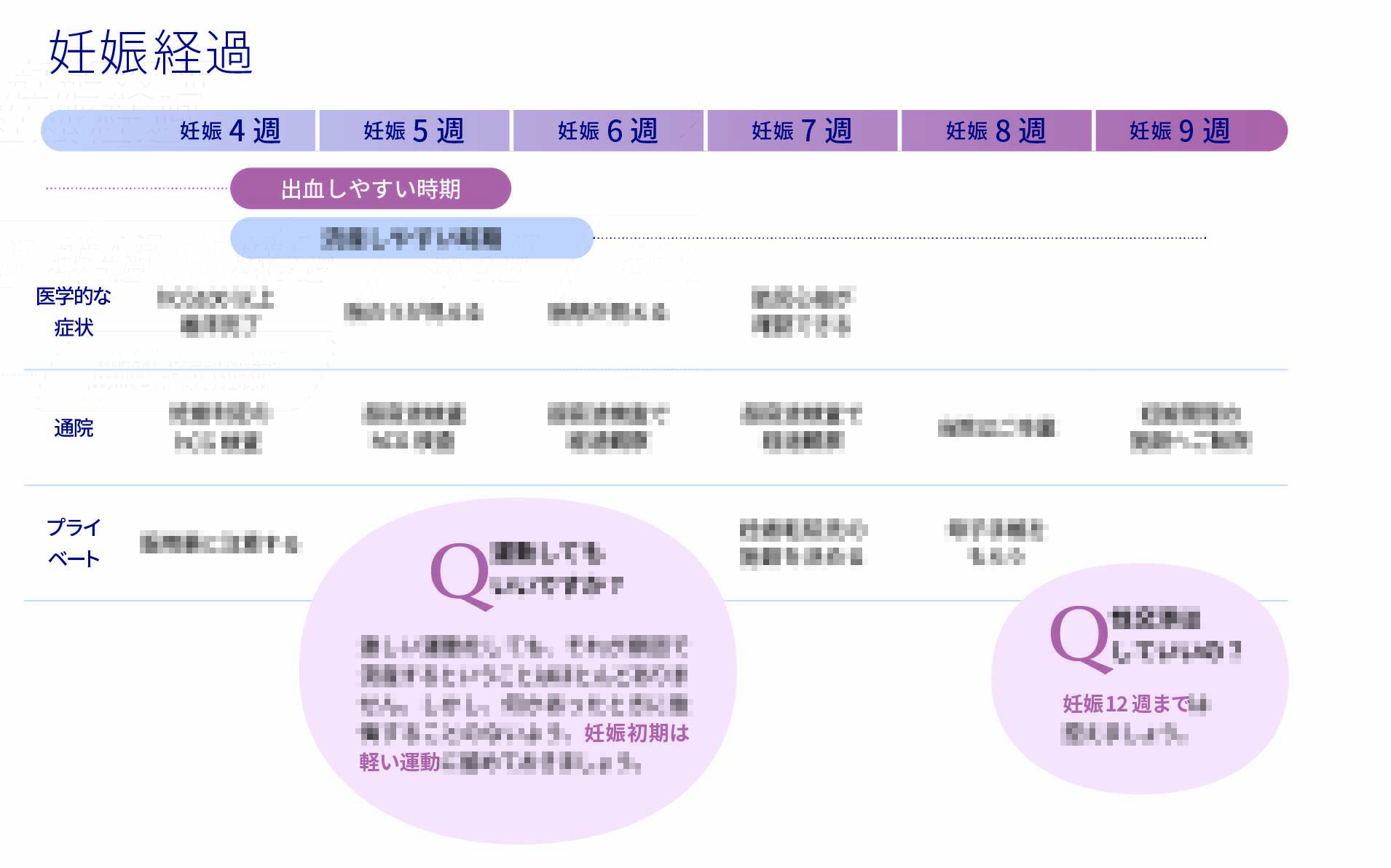 妊娠初期の経過