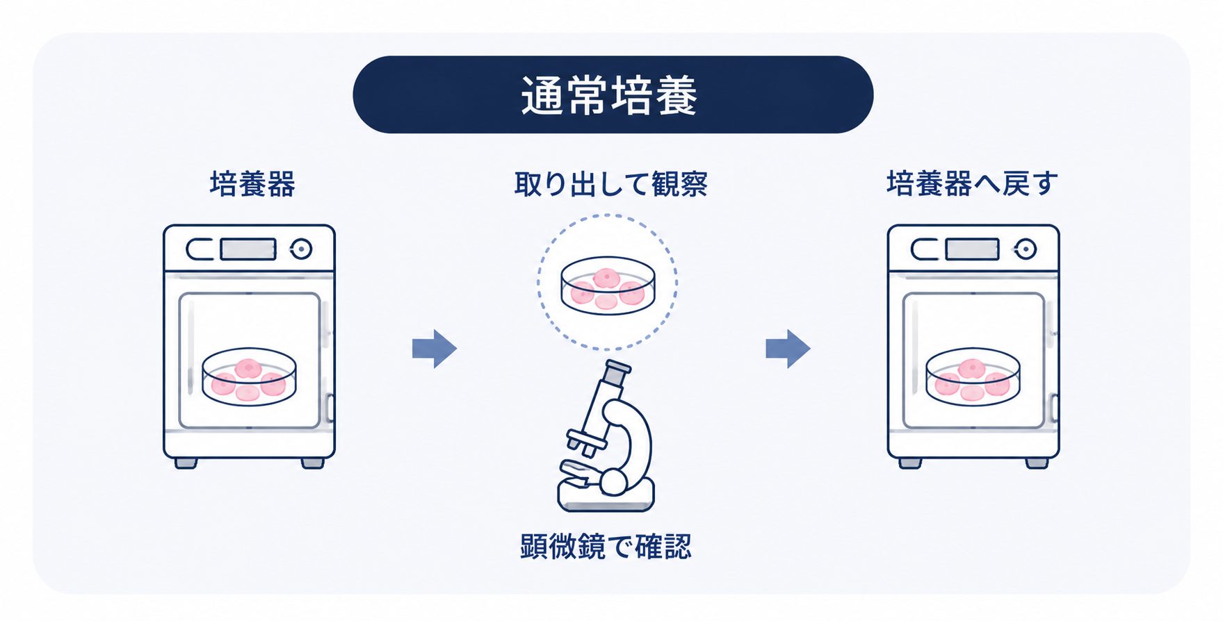 通常培養