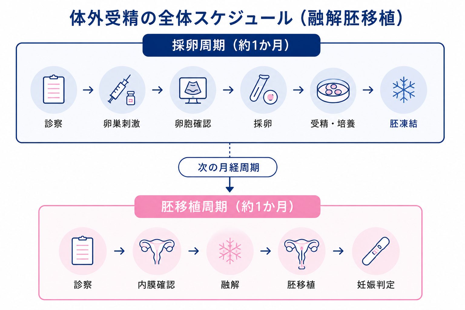 体外 受精 スケジュール