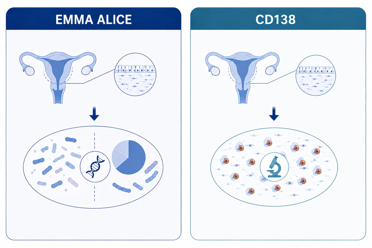 EMMA ALICEとCD138の検査方法の違い
