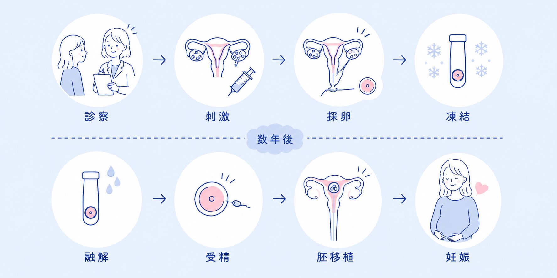 Process flow of IVF: consultation, ovarian stimulation, egg retrieval, and freezing eggs (top row). Then thawing, fertilization, embryo transfer, and pregnancy (bottom row).