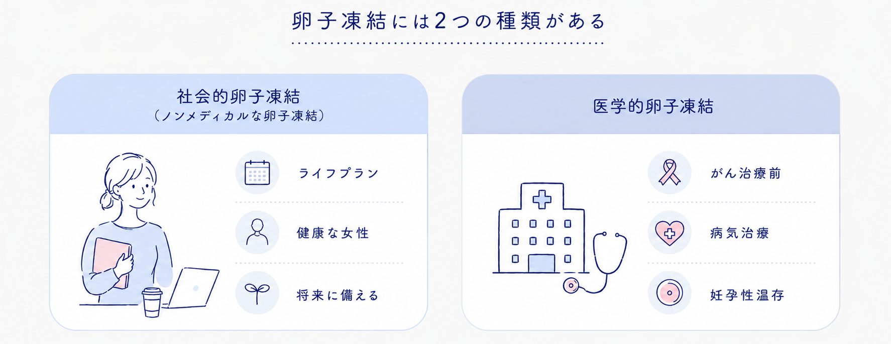 二種類の卵子凍結|社会的卵子凍結と医学的卵子凍結