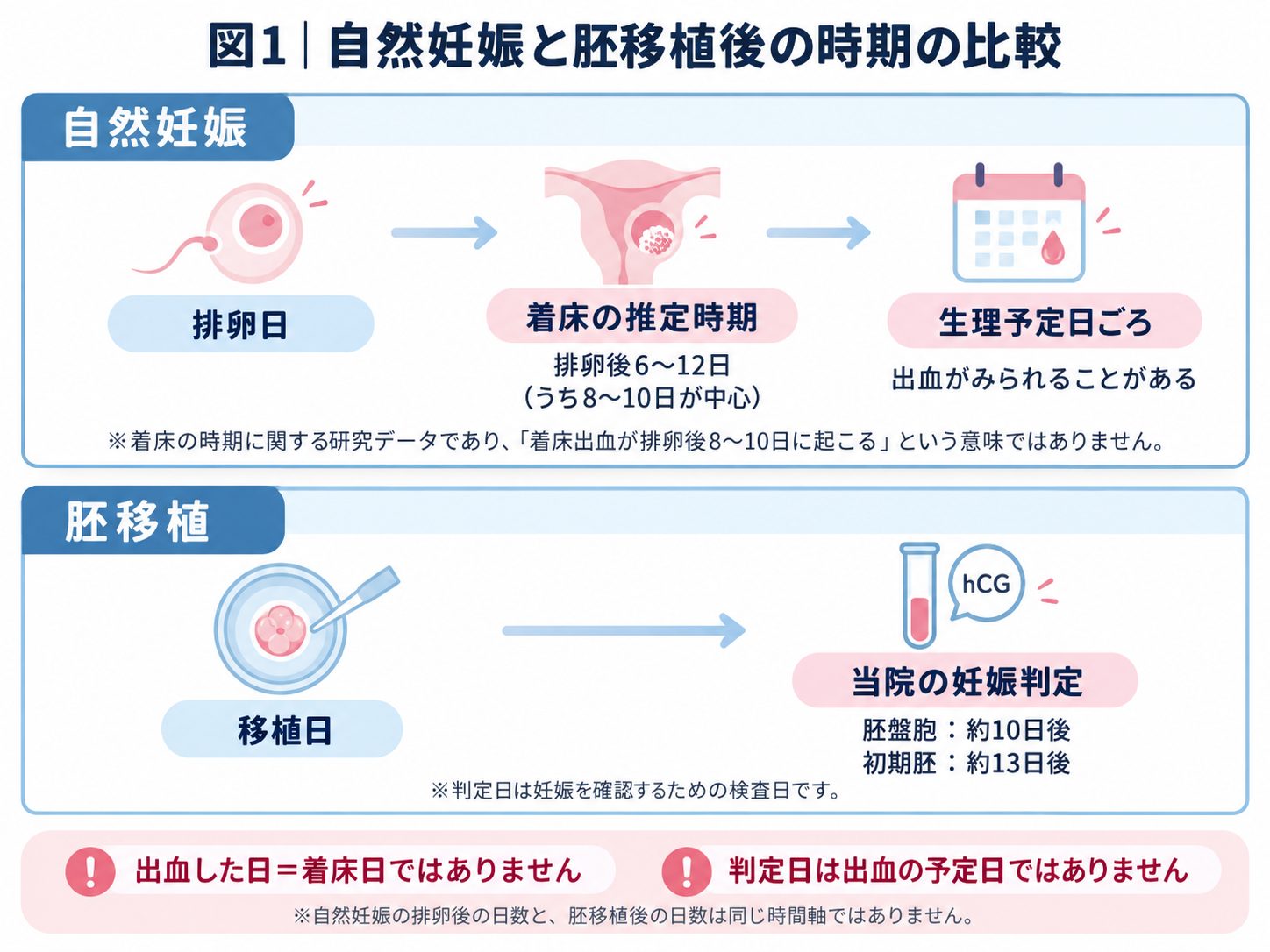 自然妊娠と胚移植後の時期の比較
