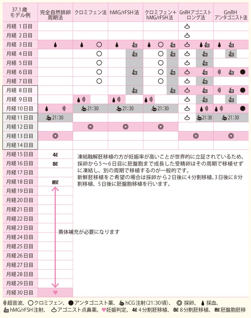 出産予定日 凍結胚移植